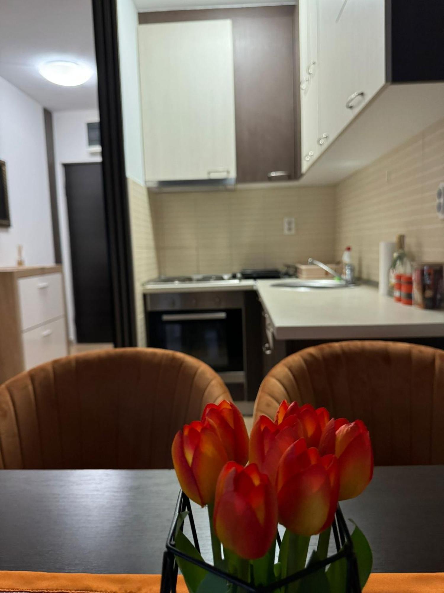 Stan Na Dan Aurora Apartman Pozsarevác Kültér fotó