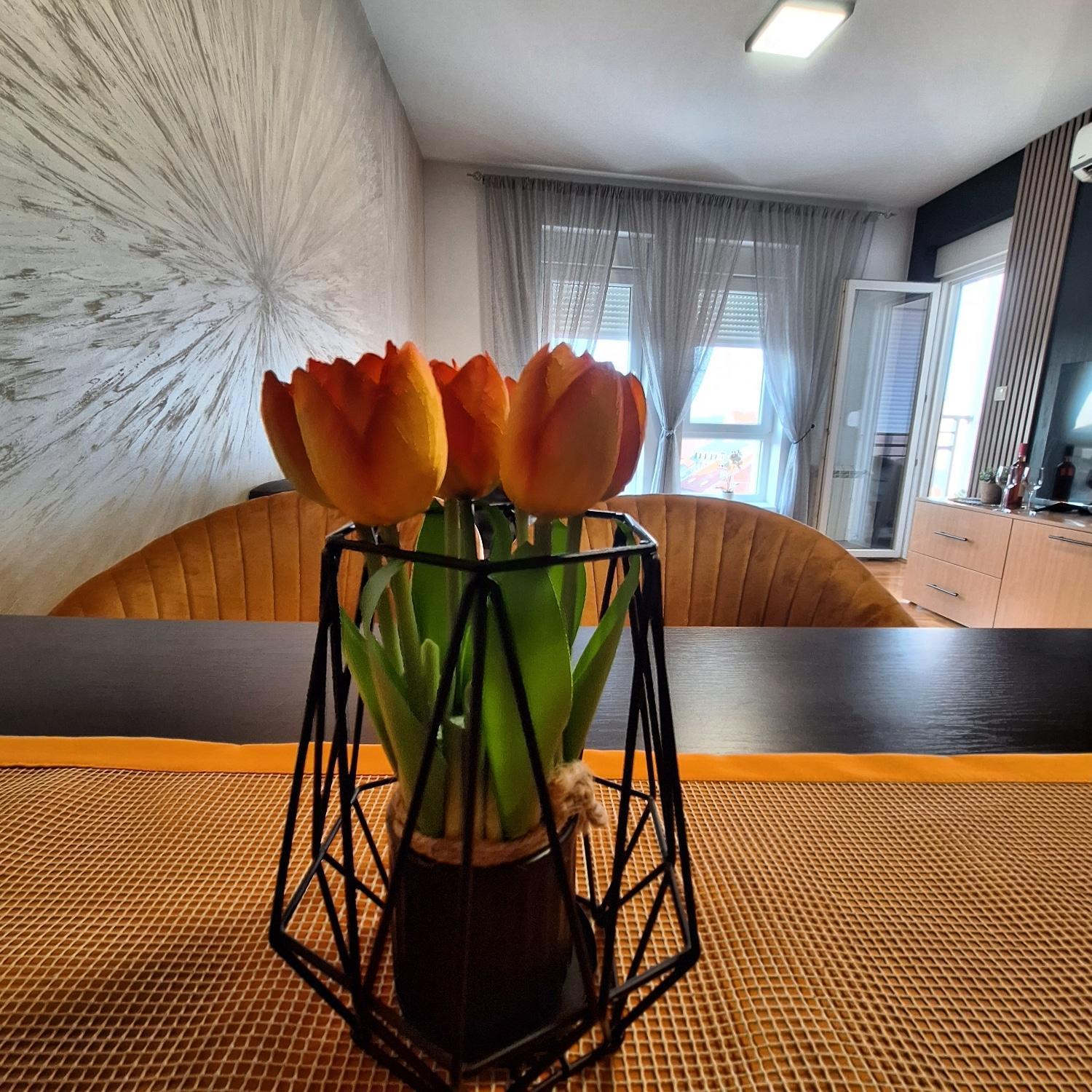 Stan Na Dan Aurora Apartman Pozsarevác Kültér fotó