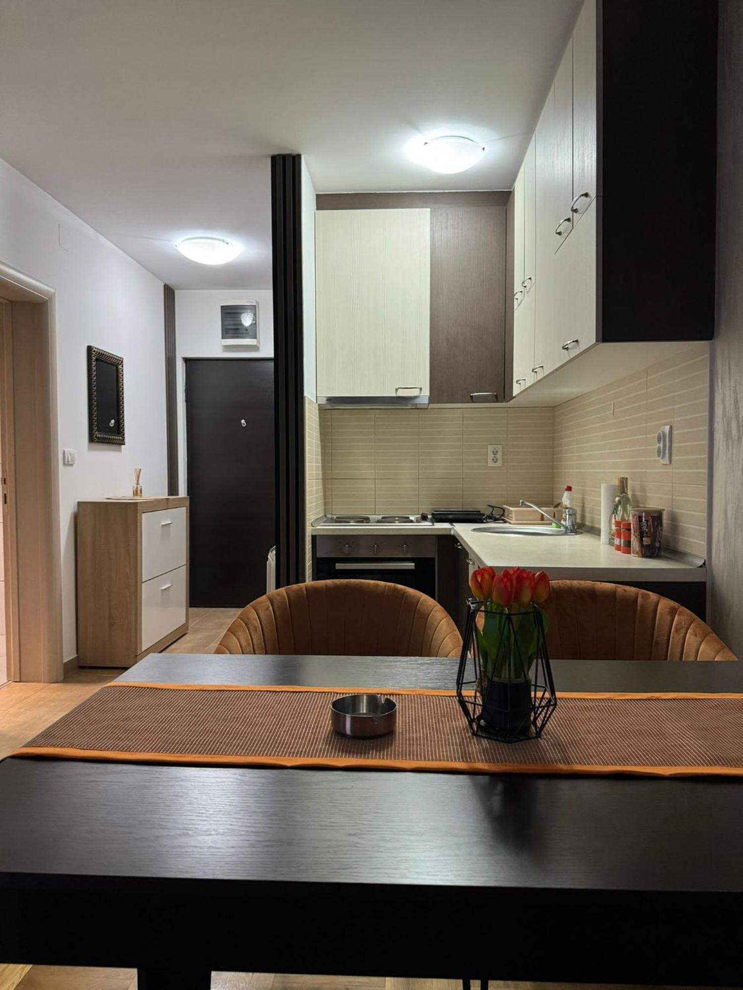 Stan Na Dan Aurora Apartman Pozsarevác Kültér fotó