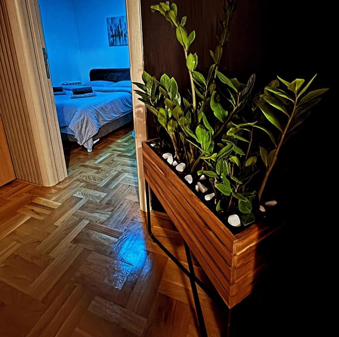 Stan Na Dan Aurora Apartman Pozsarevác Kültér fotó