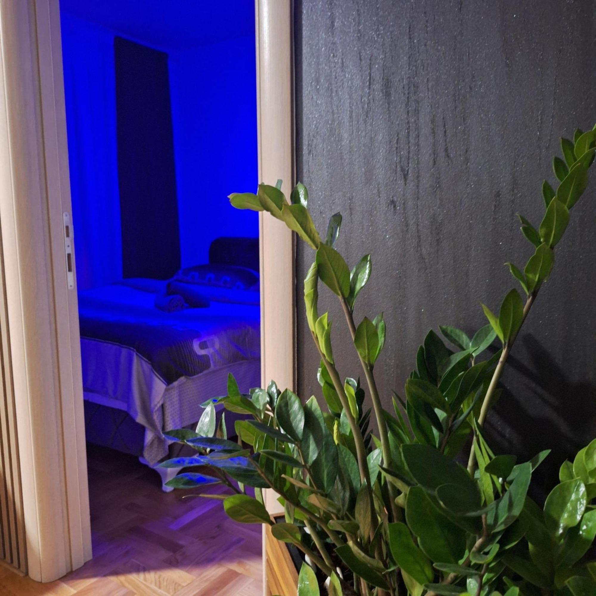 Stan Na Dan Aurora Apartman Pozsarevác Kültér fotó